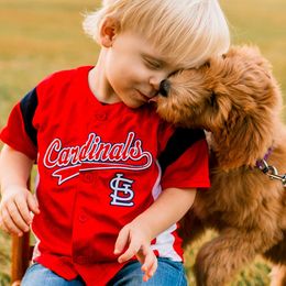 Goldendoodles from AR Diamond Doodles