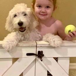 Bernedoodle and Goldendoodle Puppies from Dawg'on Doodles
