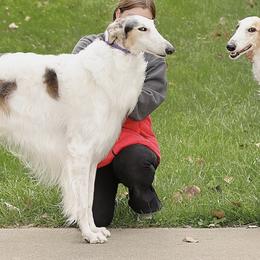 Borzoi puppies from Pagosa Borzoi