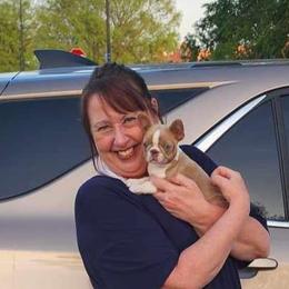 Boston Terriers and French Bulldogs from Freedom Frenchies N Bostons