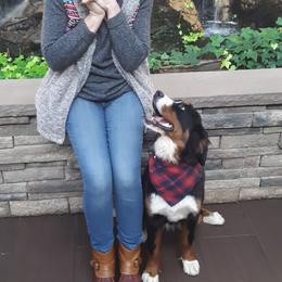 Bernese Mountain Dog All Grown Up from Bernese Mountain Railway