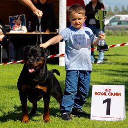 Helly - Rottweiler