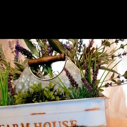 Poodle Puppies from Caboodles of Poodles