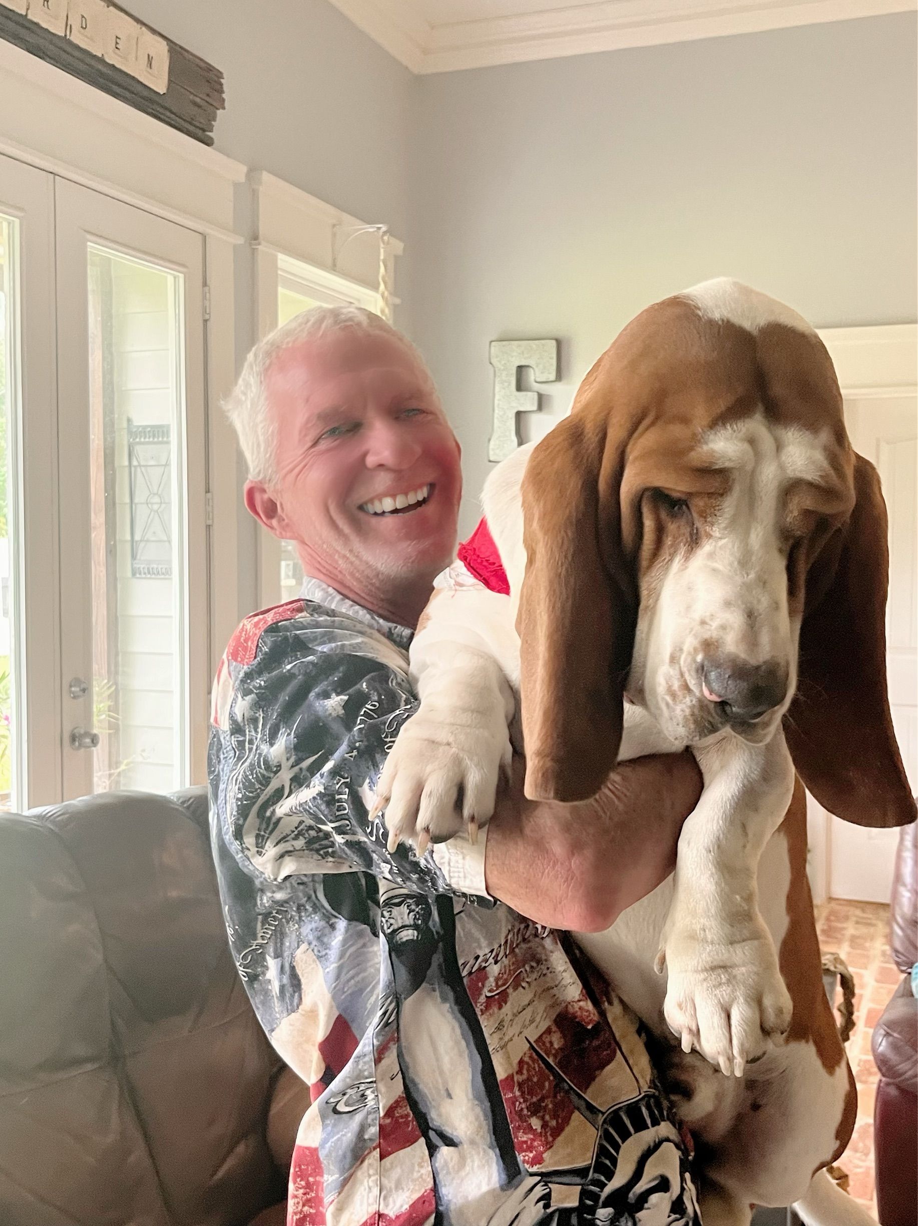 Tates best sale basset hounds