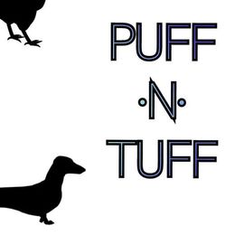 Dachshunds from Puff n tuff farms