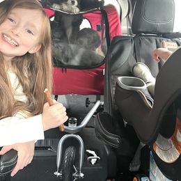 Aussiedoodle Puppies from A Dose Of Doodle