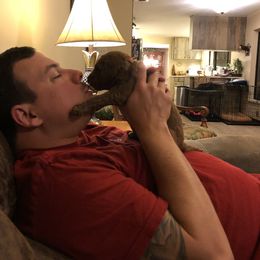 Goldendoodle Puppies from Cooley Doodles