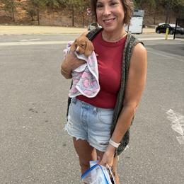 Kuma - Red female Dachshund puppy in Brownsville, California from Pine & Pasture Dachshunds