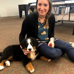 Bernedoodles, Bernese Mountain Dogs, and Goldendoodles from Bernedoodles & Doodles of the Ozarks