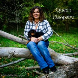 Cleo - Cavalier King Charles Spaniel