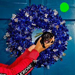 Green Collar Boy 3 - Black and mahogany male Rottweiler puppy in Seale, Alabama from A & Y Guardian Rottweiler