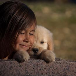 Golden Retriever Puppies from Glacier Goldens