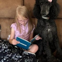 Poodle All Grown Up from Graceful Poodle Paws