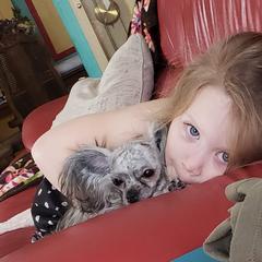 Mi-Ki Puppies from Mi-Kis of OZ