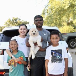 Goldendoodle Puppies from CocoLove Doodles