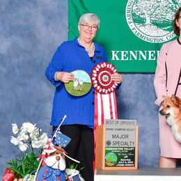 Icelandic Sheepdogs and Mudis from Velaris