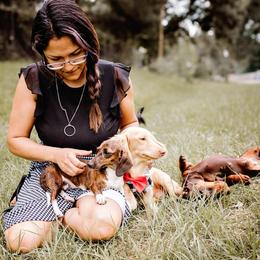 Doughnut - Dachshund