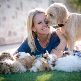 Poodle Puppies from Doodle Puppy Parti