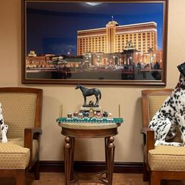 Basset Hound and Dalmatian Puppies from Lazy B Bassets and Dalmatians