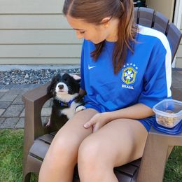 Border Collie Puppies from Cascade Sun Kennels