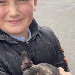 Boston Terrier and French Bulldog Puppies from High Plains Bullies