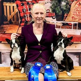 American Staffordshire Terriers and Boston Terriers from Aim High Kennels