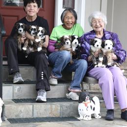 "Mo Mo's babies  (7)  " Tibetan Terrier Puppies from Rama Kha Tibetans