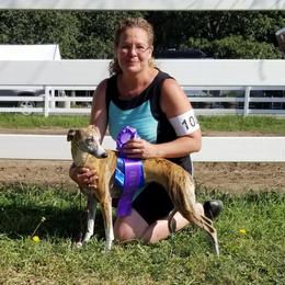 Athena  - Whippet