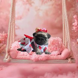 Ariel - Fawn female Pug puppy in Winter Haven, Florida from Precious Paws