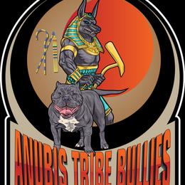 American Bullies from Anubis Tribe Bullies