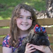 Girl 1 - female Bouvier des Flandres puppy in Marionville, Missouri from Sandbox Puppies