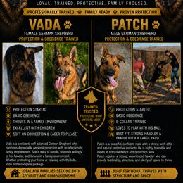German Shepherd puppies from Mission K9