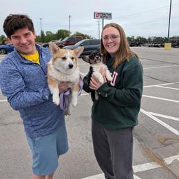 Charles Ingalls - Black and tan male American Corgi puppy in Paden, Oklahoma from Sunray Ranch