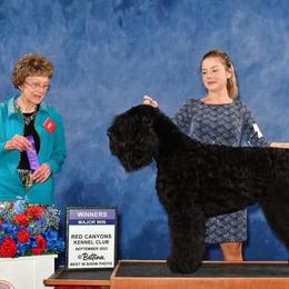 Joelene - Black Russian Terrier