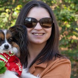 Border Collies and Papillons from Evolution Sport Dogs