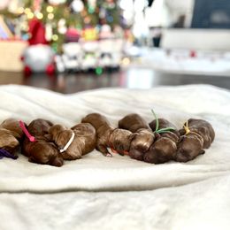 Cockapoo puppies from Chesapeake Cockapoos
