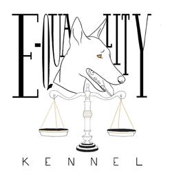 Belgian Malinois All Grown Up from E-Quality Kennels