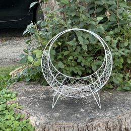 Pomsky Puppies from Lake in the hills Pomskies