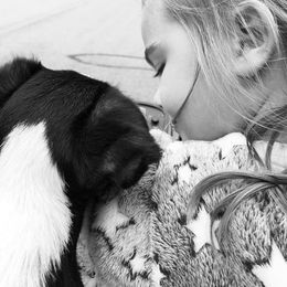 Smooth Fox Terrier Puppies from Misty Hollow