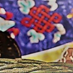 Tibetan Spaniel Puppies from Runningbrook