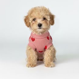 Trixie - Apricot female Poodle puppy in Pasorobles, California from AVCpoodles