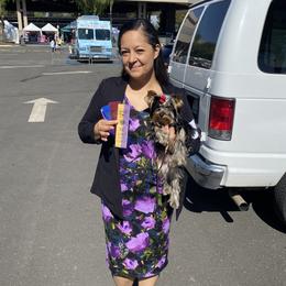 French Bulldogs and Yorkshire Terriers from Diamond Doll Yorkies
