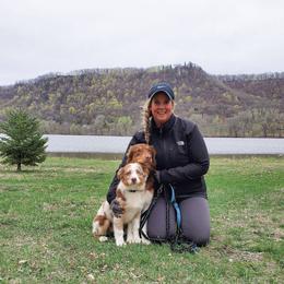 Australian Shepherd All Grown Up from Wexford Creek Aussies