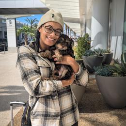 Cavapoo Puppies from WW Cavapoos