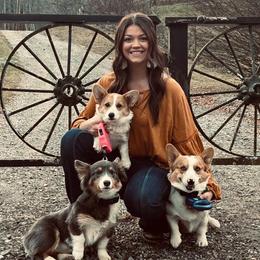 American Corgis, Cardigan Welsh Corgis, and Pembroke Welsh Corgis from Rockin’ H Kennels