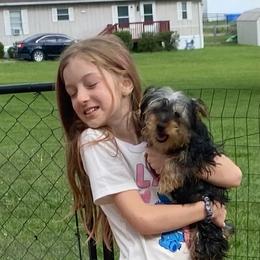 Carlee AKC full rights - Black and tan female Yorkshire Terrier puppy in Elizabethtown, Kentucky from Teeny Tiny Puppy Tails
