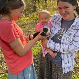 Girl 5 - Black rust and white female Bernese Mountain Dog puppy in Strasburg, Ohio from Lois Allison