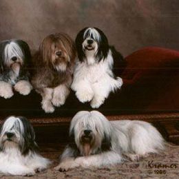 Polish Lowland Sheepdogs from Lechsinska’s Polish Lowland Sheepdogs