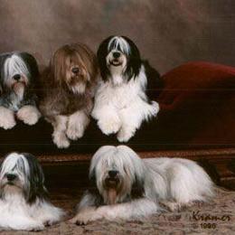 Polish Lowland Sheepdogs from Lechsinska’s Polish Lowland Sheepdogs