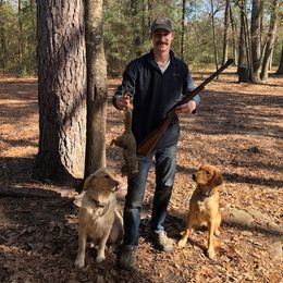 "fetching squirrels" Golden Retriever All Grown Up from Golden Acres LLC